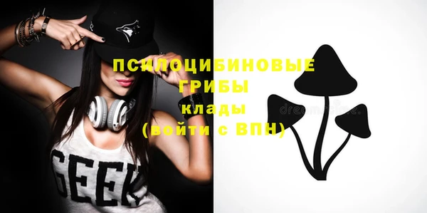 а пвп мука Абаза