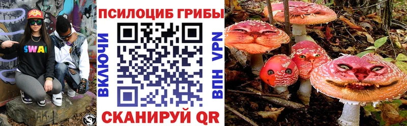дарнет шоп Горбатов Псилоцибиновые грибы GOLDEN TEACHER